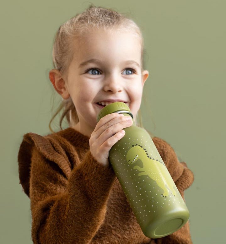 Botella infantil Dino Trixie 500 ml - Nanetes